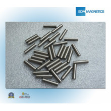 Besetzung AlNiCo Magnet